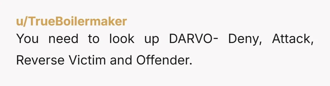 u/TrueBoilermaker
You need to look up DARVO- Deny, Attack, Reverse Victim and Offender.