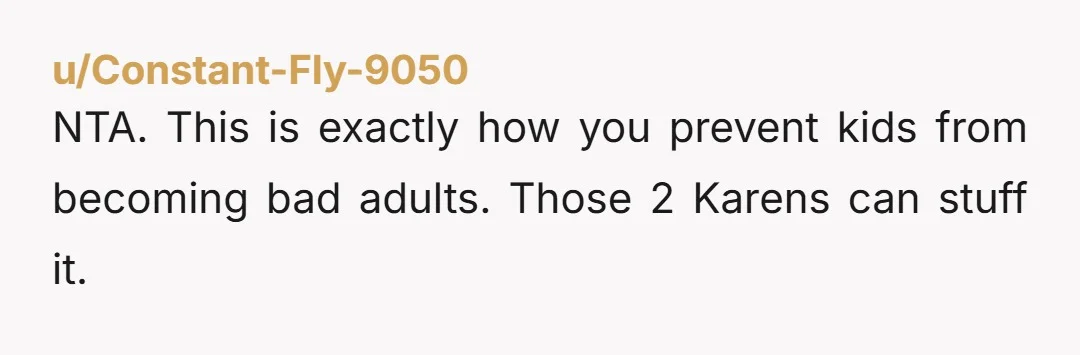 u/Constant-Fly-9050 NTA. This is exactly how you prevent kids from becoming bad adults. Those 2 Karens can stuff it.