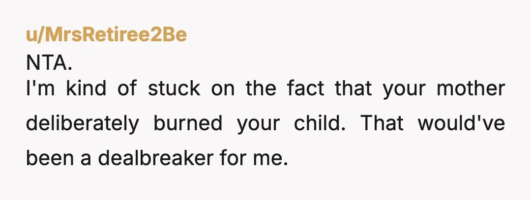 u/MrsRetiree2Be NTA. I'm kind of stuck on the fact that your mother deliberately burned your child. That would've been a dealbreaker for me.