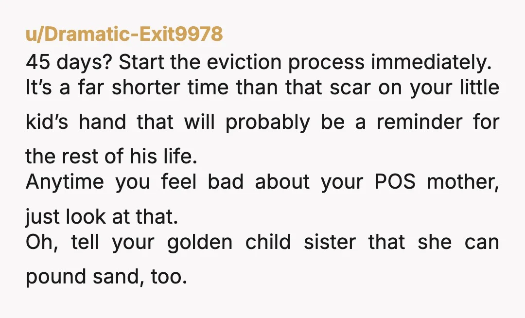 u/Dramatic-Exit9978 45 days? Start the eviction process immediately. It’s a far shorter time than that scar on your little kid’s hand that will probably be a reminder for the rest...