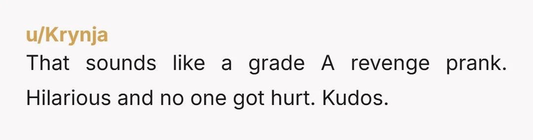 u/Krynja
That sounds like a grade A revenge prank. Hilarious and no one got hurt. Kudos.