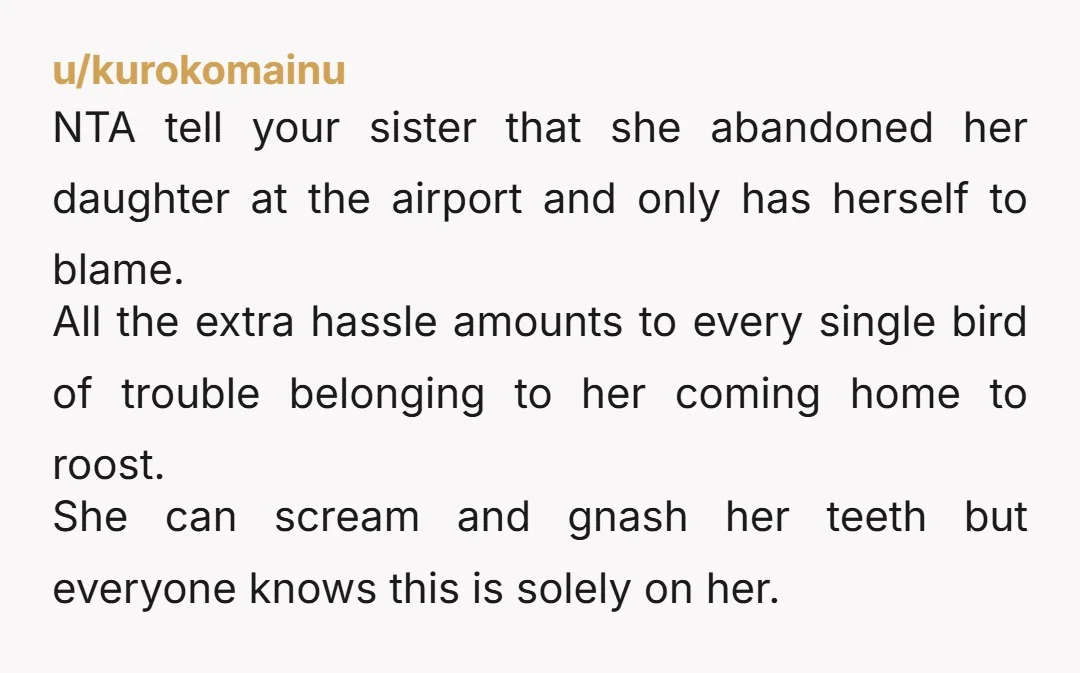 u/kurokomainu NTA tell your sister that she abandoned her daughter at the airport and only has herself to blame. All the extra hassle amounts to every single bird of trouble...