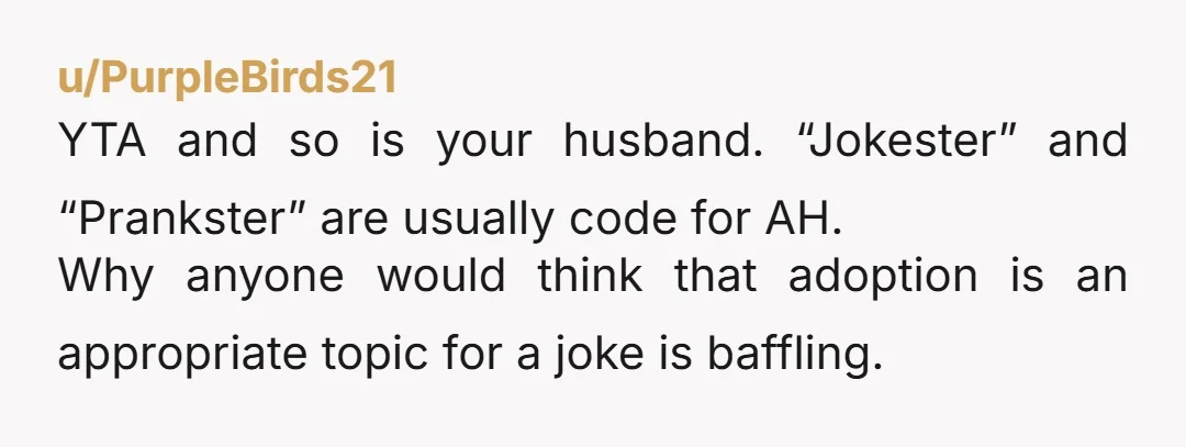 u/Capable_Window_7122 Wowwwwwww. Yeah, YTA. Adoption is 100% NOT a joke especially when you’re making them to an adoptee, about an adoptee, or about an adoptee’s bio family. Grow up and...