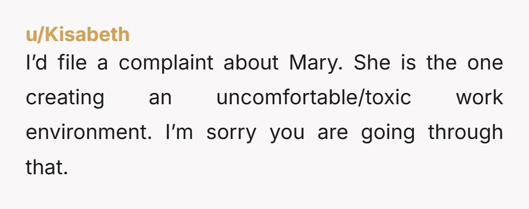 I’d file a complaint about Mary. She is the one creating an uncomfortable/toxic work environment. I’m sorry you are going through that.