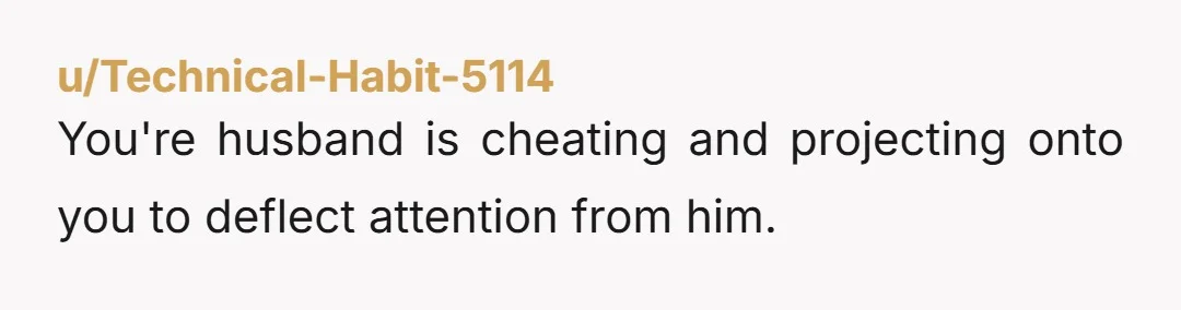 u/emryldmyst Nta But he's definitely cheating and now attacking you out of guilt. I got the whole if we dont have trust we dont have anything speech when I confronted...