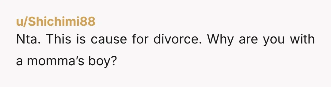 u/GlitteringWing2112 NTA - I would divorce him and take HIM to the cleaners.... Oh, and BTW, ten bucks says he's cheating on you.