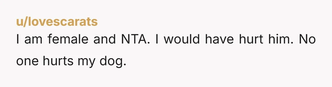 u/lovescarats
I am female and NTA. I would have hurt him. No one hurts my dog.