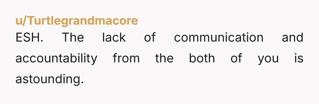 u/Turtlegrandmacore ESH. The lack of communication and accountability from the both of you is astounding.