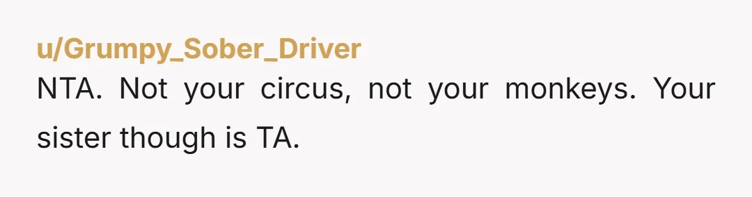 u/ServelanDarrow NTA.  She abandoned her daughter.  Her.  In a country she doesn't live in.  The rest of your aren't her parents.