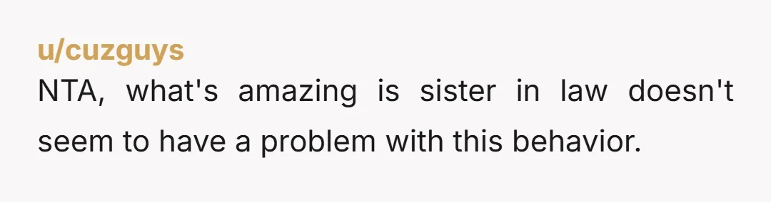 NTA, what's amazing is sister in law doesn't seem to have a problem with this behavior.
