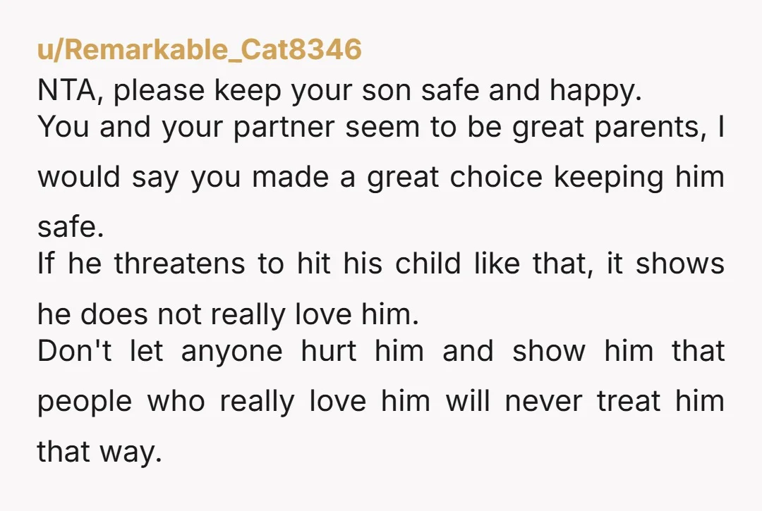u/Remarkable_Cat8346 NTA, please keep your son safe and happy. You and your partner seem to be great parents, I would say you made a great choice keeping him safe. If...