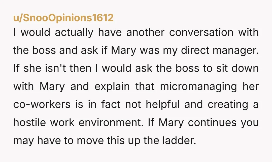 I would actually have another conversation with the boss and ask if Mary was my direct manager. If she isn't then I would ask the boss to sit down with...