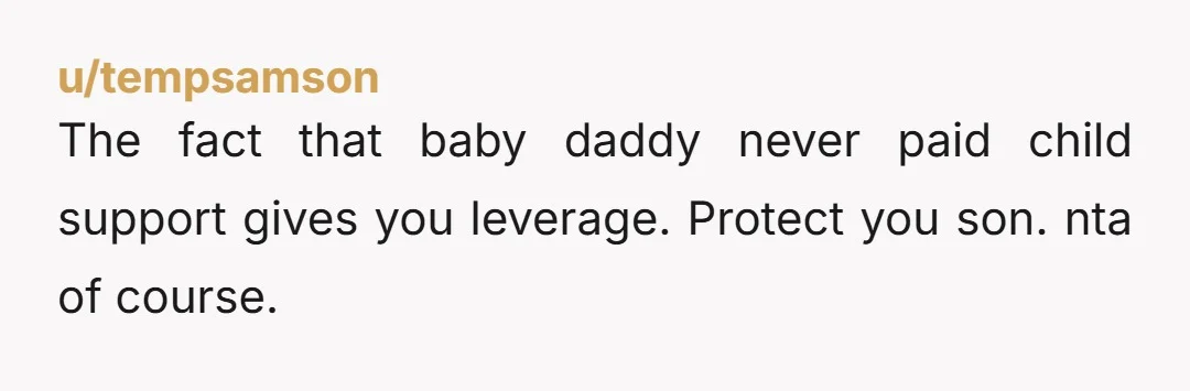 u/tempsamson The fact that baby daddy never paid child support gives you leverage. Protect you son. nta of course.