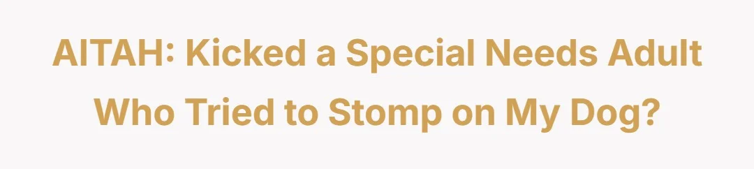 AITAH Kicked a special needs adult who tried to stomp on my dog?