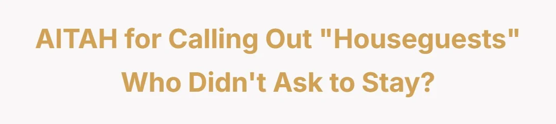 AITAH for calling out "houseguests" who didn't ask to stay?