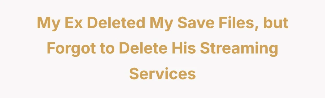 My ex deleted my save files, but forgot to delete his streaming services
