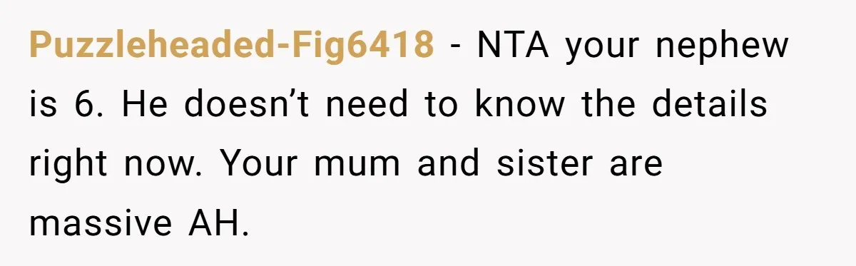 Puzzleheaded-Fig6418 − NTA your nephew is 6. He doesn’t need to know the details right now. Your mum and sister are massive AH.