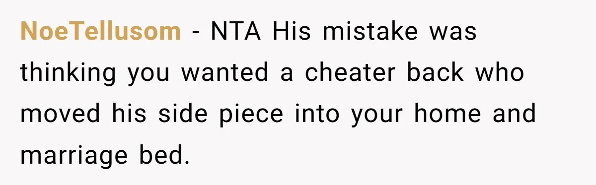 NoeTellusom − NTA His mistake was thinking you wanted a cheater back who moved his side piece into your home and marriage bed.