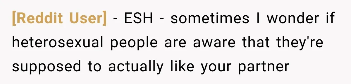 [Reddit User] − ESH - sometimes I wonder if heterosexual people are aware that they're supposed to actually like your partner