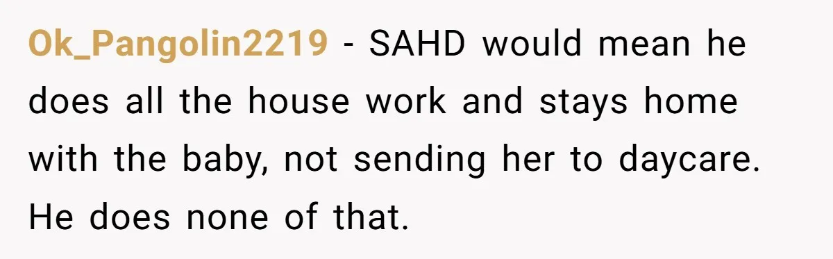Ok_Pangolin2219 − SAHD would mean he does all the house work and stays home with the baby, not sending her to daycare. He does none of that.
