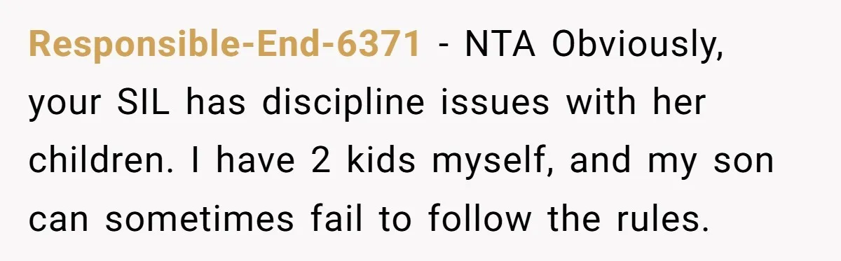 Responsible-End-6371 − NTA Obviously, your SIL has discipline issues with her children. I have 2 kids myself, and my son can sometimes fail to follow the rules.