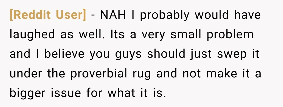 [Reddit User] − NAH I probably would have laughed as well. Its a very small problem and I believe you guys should just swep it under the proverbial rug and...