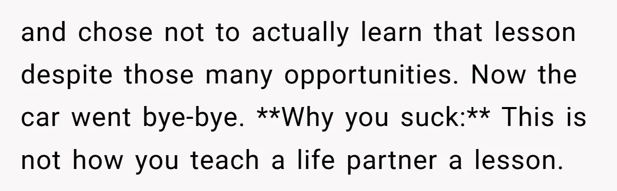 and chose not to actually learn that lesson despite those many opportunities. Now the car went bye-bye. **Why you suck:** This is not how you teach a life partner a...