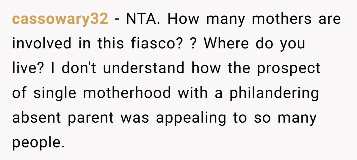 cassowary32 − NTA. How many mothers are involved in this fiasco? ? Where do you live? I don't understand how the prospect of single motherhood with a philandering absent parent...