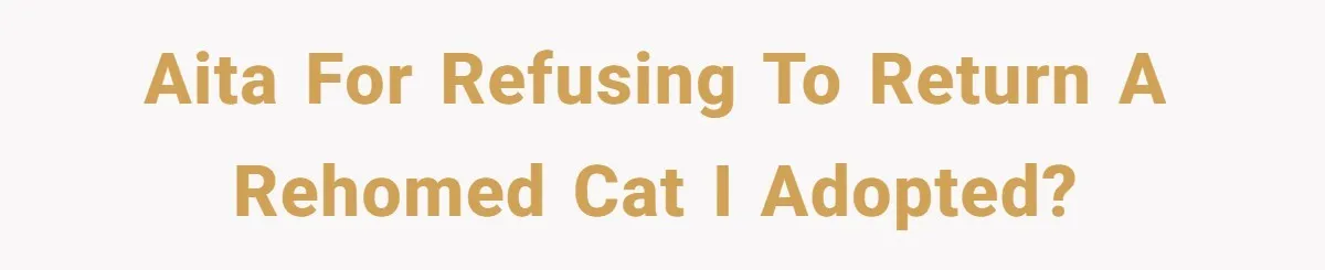 AITA for refusing to return a rehomed cat I adopted?