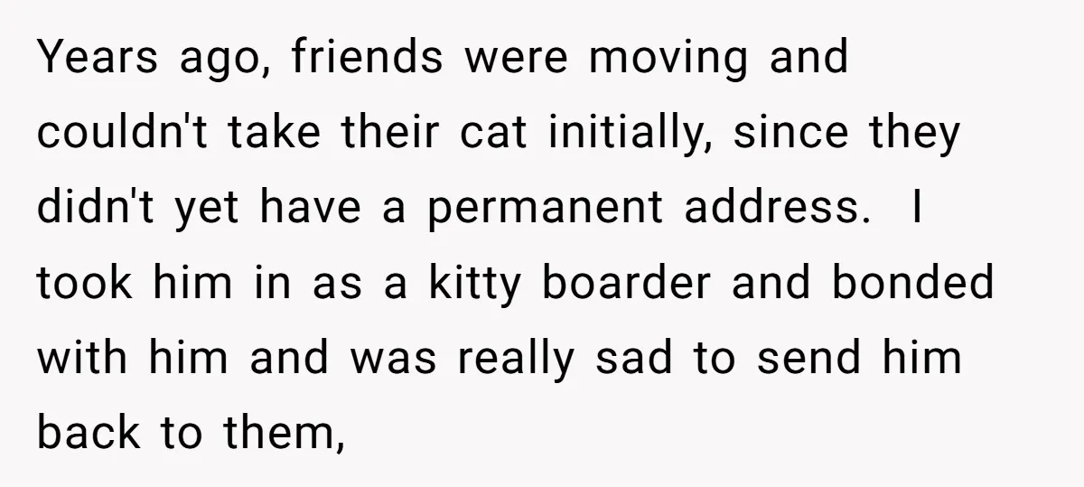 Years ago, friends were moving and couldn't take their cat initially, since they didn't yet have a permanent address. I took him in as a kitty boarder and bonded with...