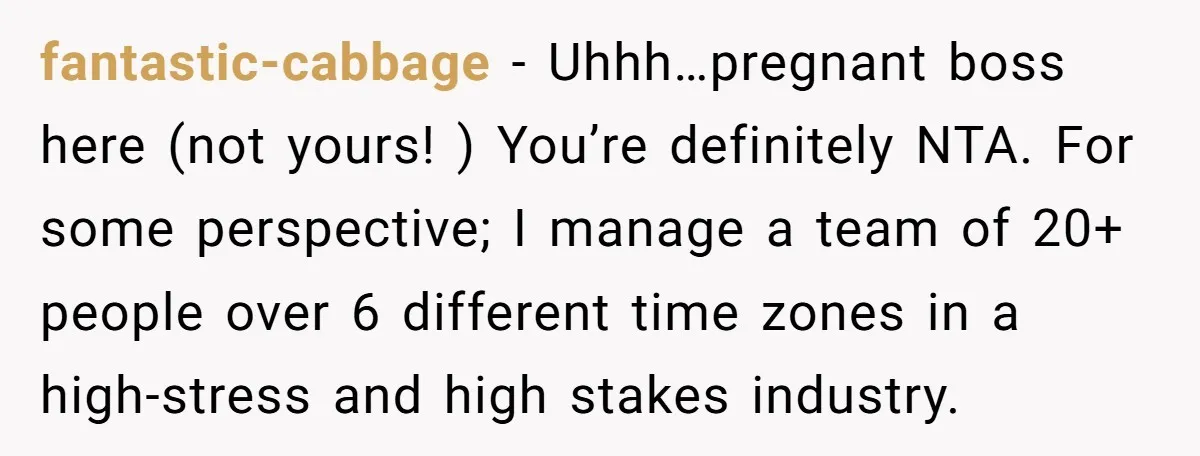fantastic-cabbage − Uhhh…pregnant boss here (not yours! ) You’re definitely NTA. For some perspective; I manage a team of 20+ people over 6 different time zones in a high-stress and...