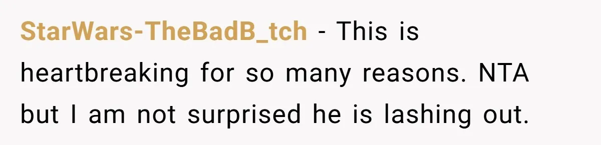 StarWars-TheBadB_tch − This is heartbreaking for so many reasons. NTA but I am not surprised he is lashing out.
