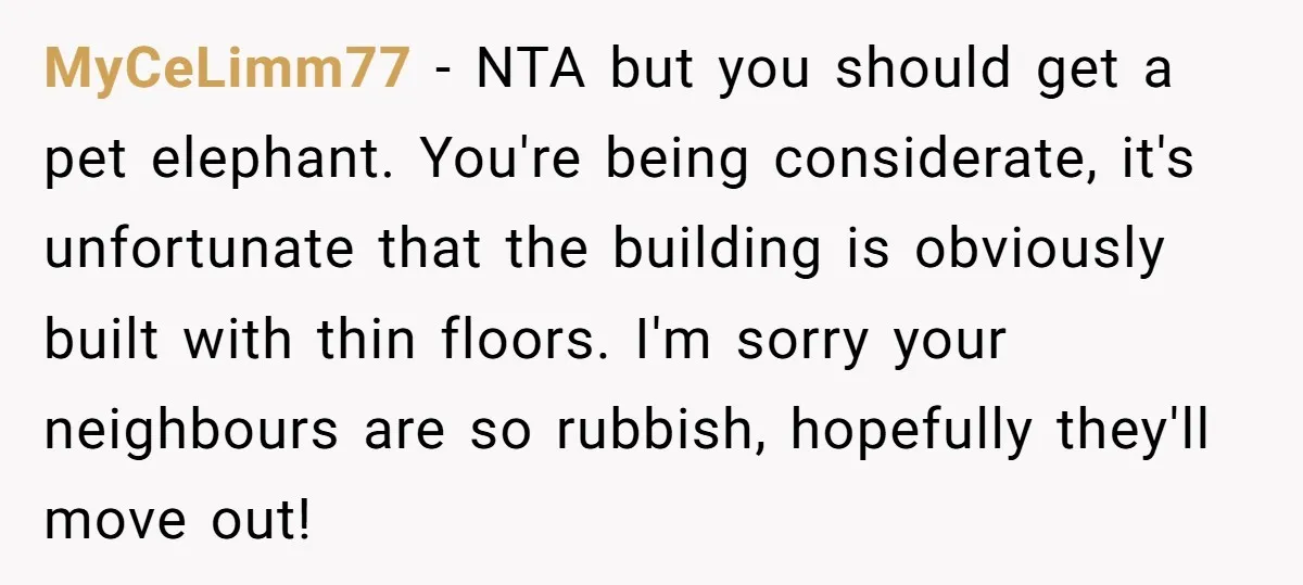 MyCeLimm77 − NTA but you should get a pet elephant. You're being considerate, it's unfortunate that the building is obviously built with thin floors. I'm sorry your neighbours are so...