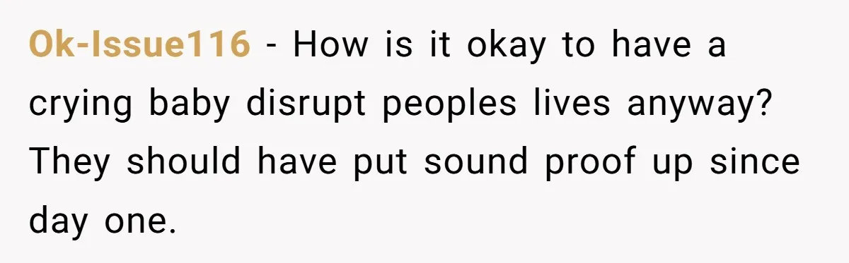 Ok-Issue116 − How is it okay to have a crying baby disrupt peoples lives anyway? They should have put sound proof up since day one.