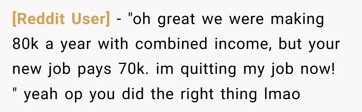 [Reddit User] − "oh great we were making 80k a year with combined income, but your new job pays 70k. im quitting my job now! " yeah op you did...