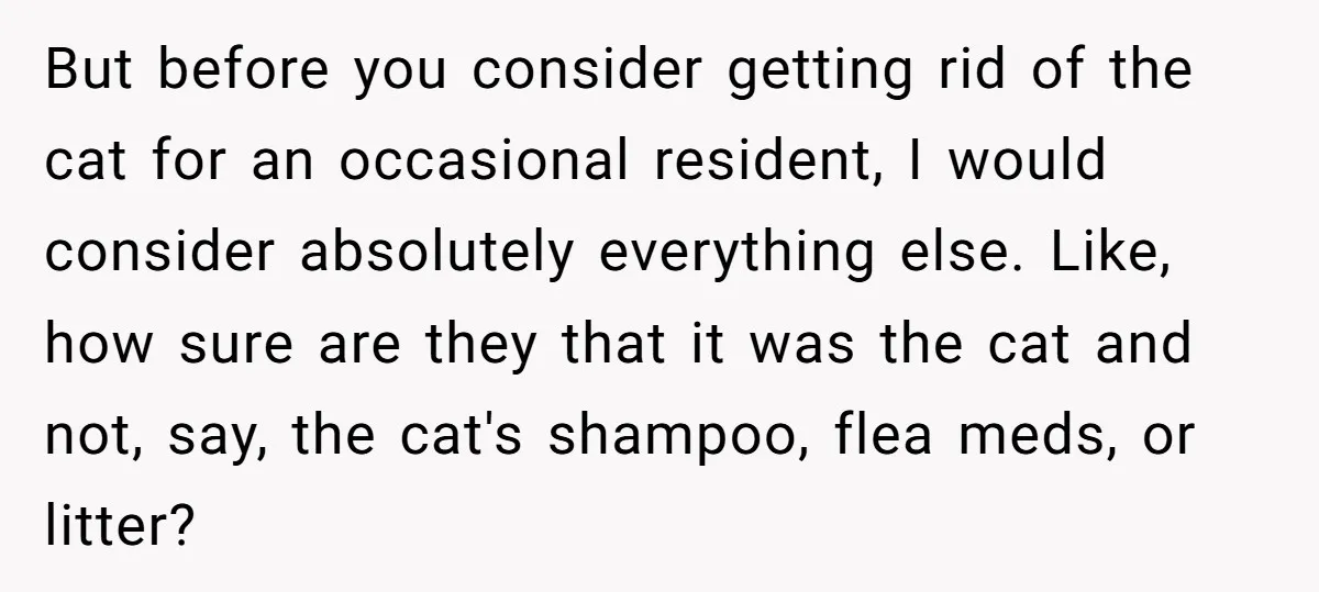 But before you consider getting rid of the cat for an occasional resident, I would consider absolutely everything else. Like, how sure are they that it was the cat and...