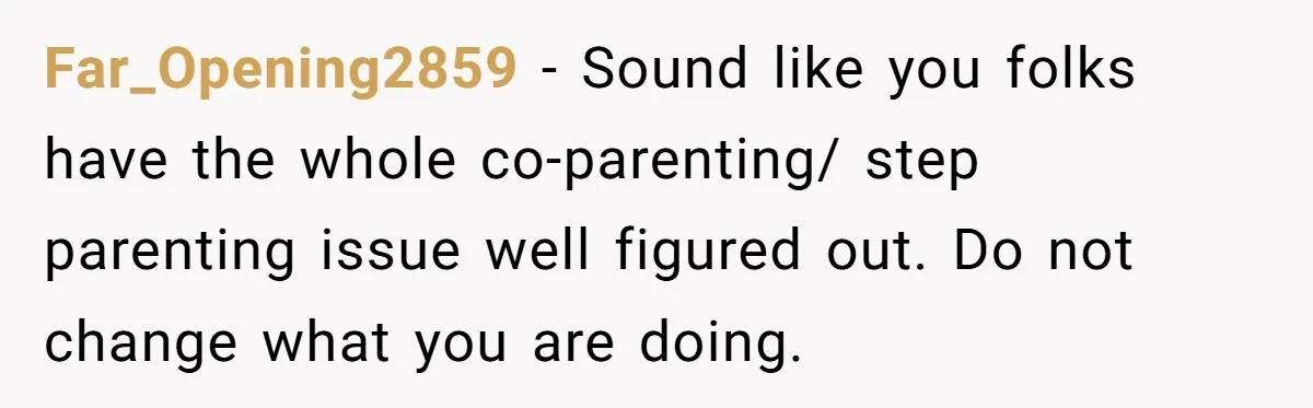 Far_Opening2859 − Sound like you folks have the whole co-parenting/ step parenting issue well figured out. Do not change what you are doing.