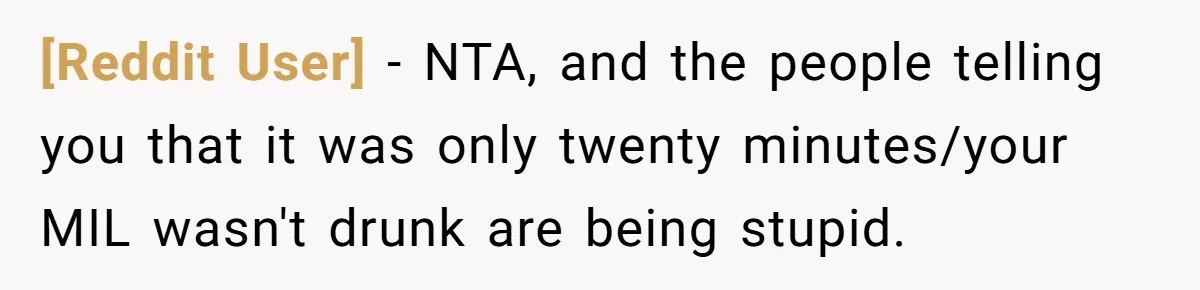 [Reddit User] - NTA, and the people telling you that it was only twenty minutes/your MIL wasn't drunk are being stupid.