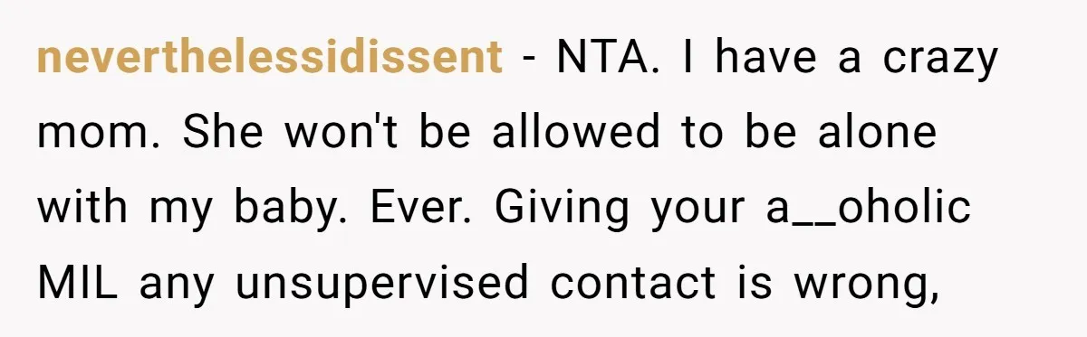 neverthelessidissent - NTA. I have a crazy mom. She won't be allowed to be alone with my baby. Ever. Giving your a__oholic MIL any unsupervised contact is wrong,