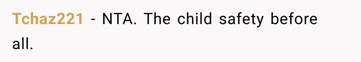 Tchaz221 - NTA. The child safety before all.