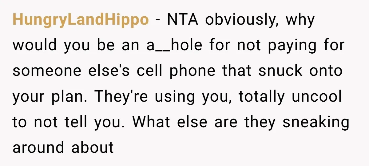 HungryLandHippo − NTA obviously, why would you be an a__hole for not paying for someone else's cell phone that snuck onto your plan. They're using you, totally uncool to not...