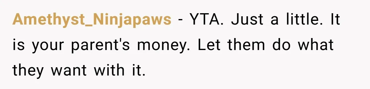 Amethyst_Ninjapaws − YTA. Just a little. It is your parent's money. Let them do what they want with it.