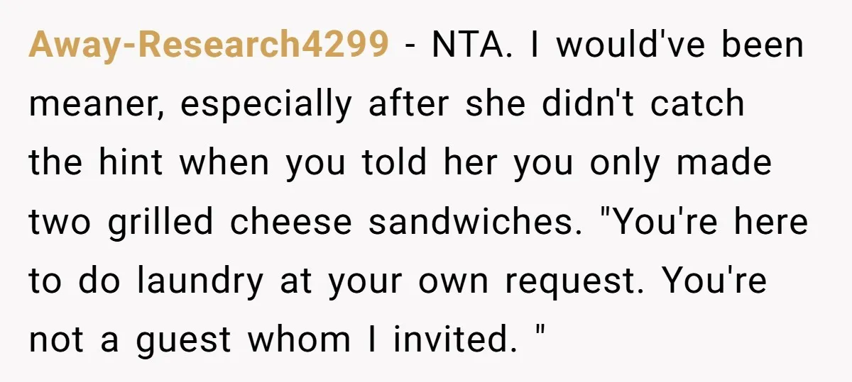 Away-Research4299 − NTA. I would've been meaner, especially after she didn't catch the hint when you told her you only made two grilled cheese sandwiches. "You're here to do laundry...
