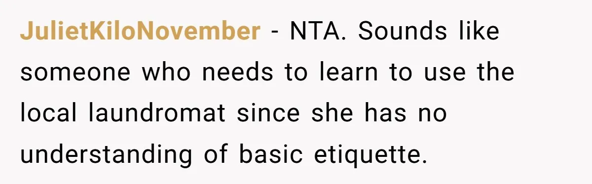 JulietKiloNovember − NTA. Sounds like someone who needs to learn to use the local laundromat since she has no understanding of basic etiquette.