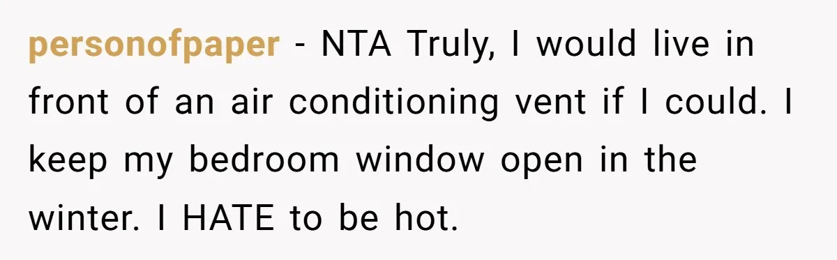 personofpaper − NTA Truly, I would live in front of an air conditioning vent if I could. I keep my bedroom window open in the winter. I HATE to be...
