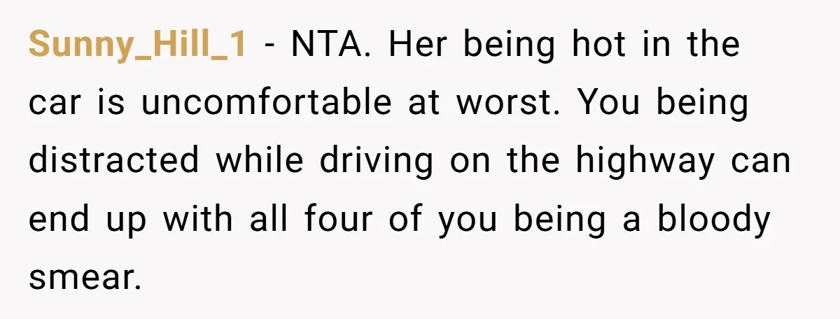 Sunny_Hill_1 − NTA. Her being hot in the car is uncomfortable at worst. You being distracted while driving on the highway can end up with all four of you being...