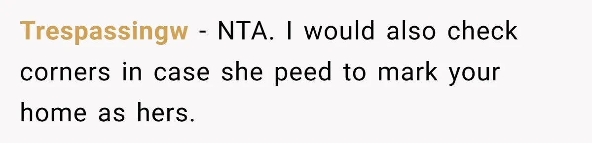 Trespassingw − NTA. I would also check corners in case she peed to mark your home as hers.