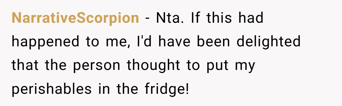 NarrativeScorpion − Nta. If this had happened to me, I'd have been delighted that the person thought to put my perishables in the fridge!