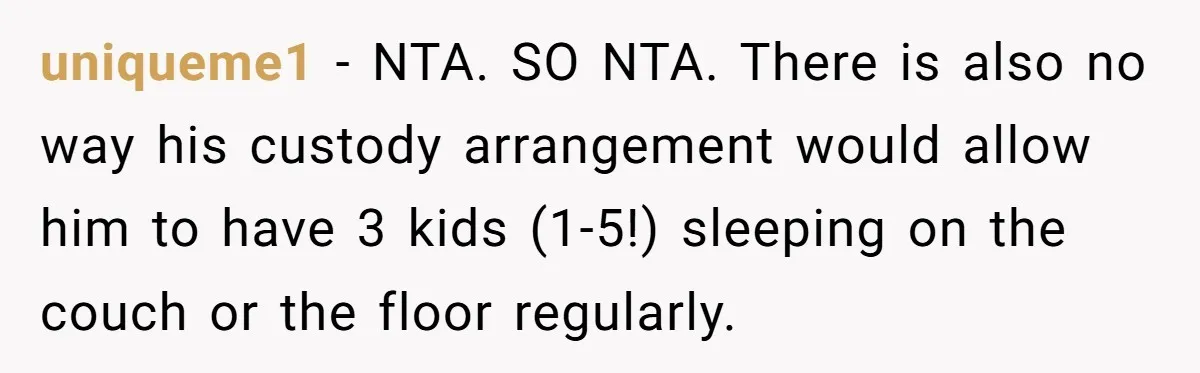 uniqueme1 − NTA. SO NTA. There is also no way his custody arrangement would allow him to have 3 kids (1-5!) sleeping on the couch or the floor regularly.