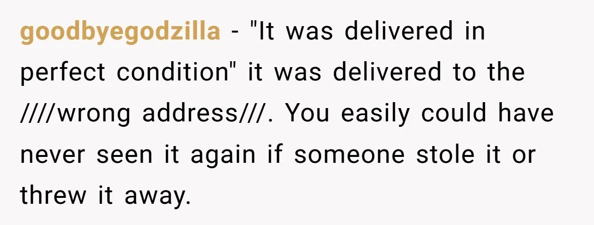 goodbyegodzilla − "It was delivered in perfect condition" it was delivered to the ////wrong address///. You easily could have never seen it again if someone stole it or threw it...